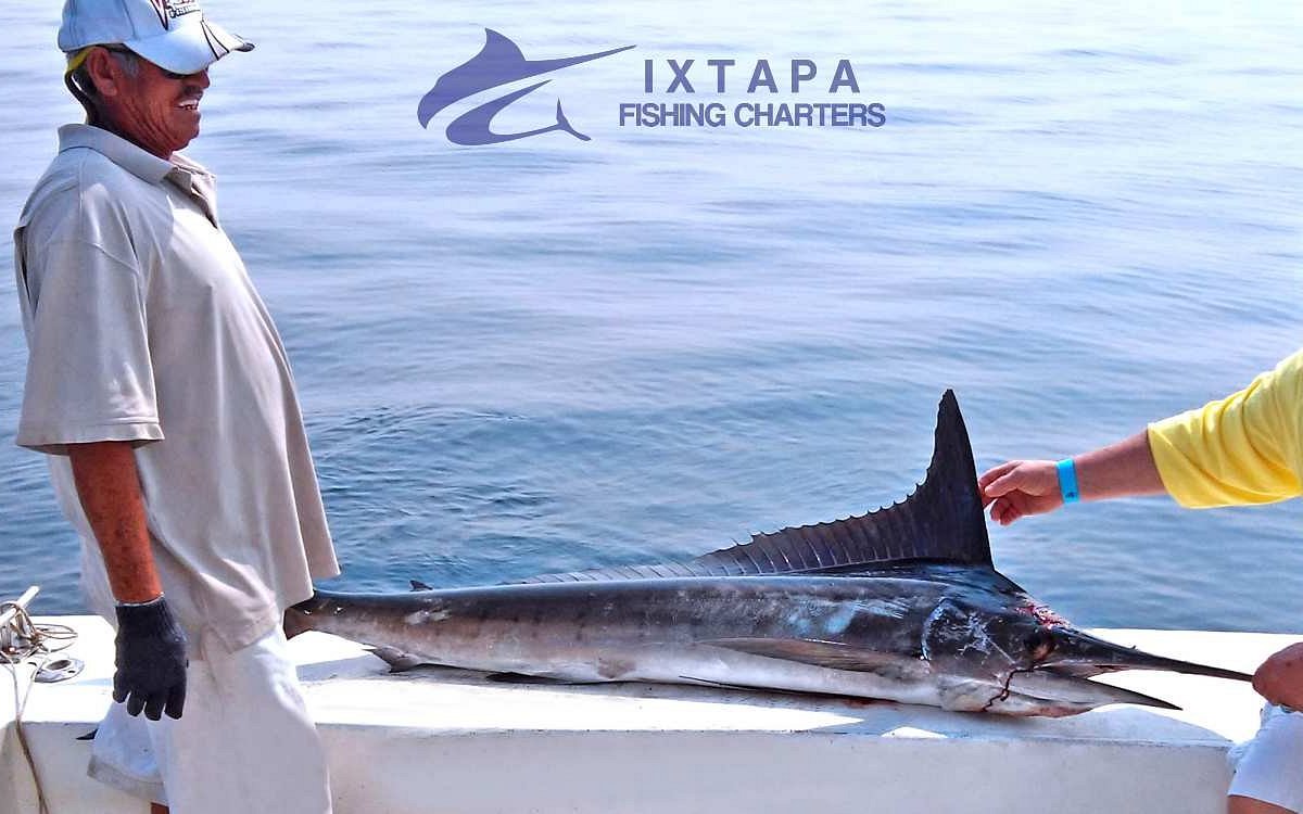 Ixtapa-Zihuatanjo Fishing Charters - All You Need to Know BEFORE You Go  (2024)