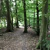 Things To Do in Philipshill Wood, Restaurants in Philipshill Wood