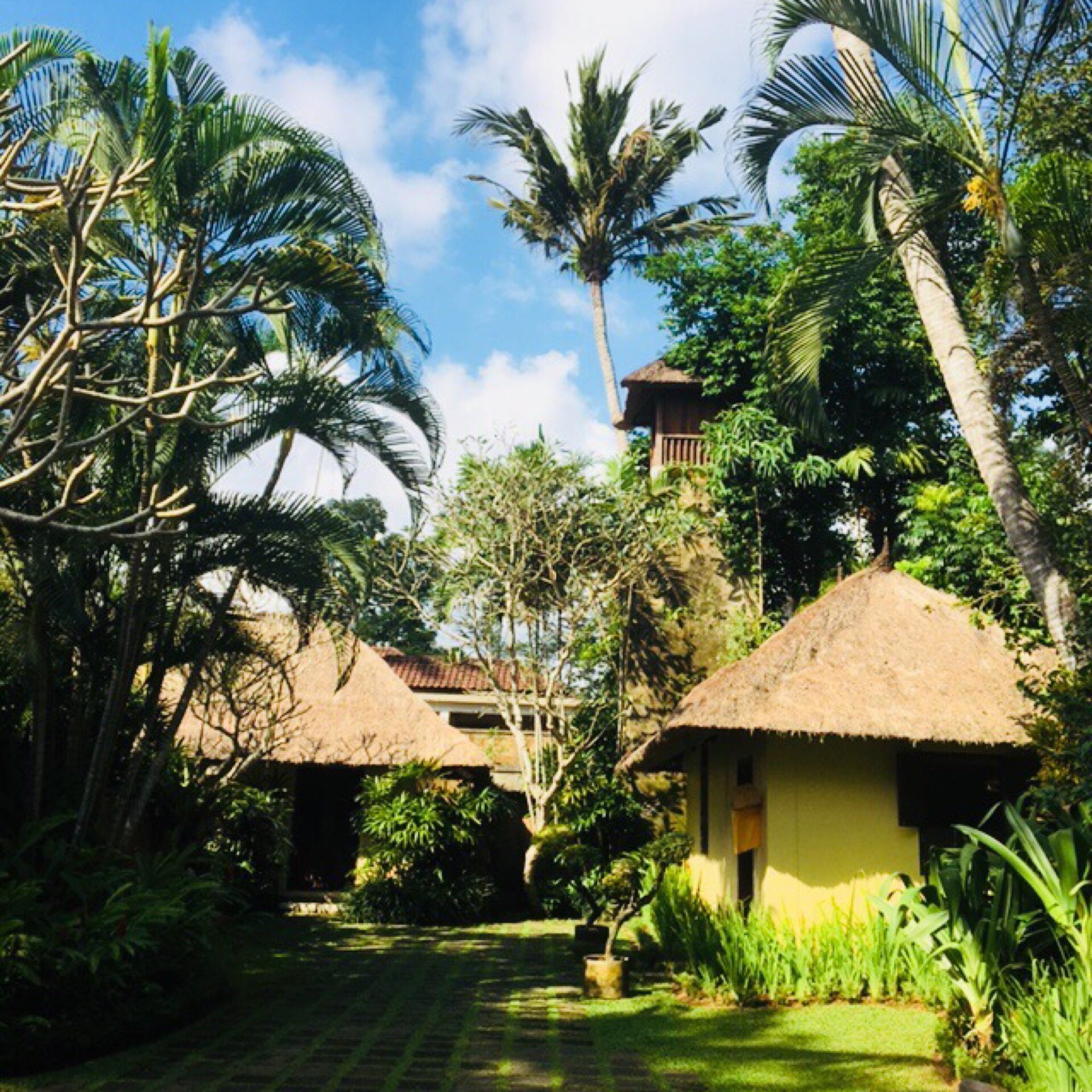 VILLA ALAMANDA B&B (Ubud, Bali): Prezzi E Recensioni (2024)