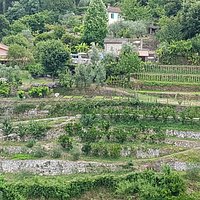 Ameglia