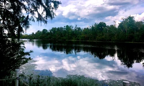 Lake Panasoffkee, FL 2024: Best Places to Visit - Tripadvisor