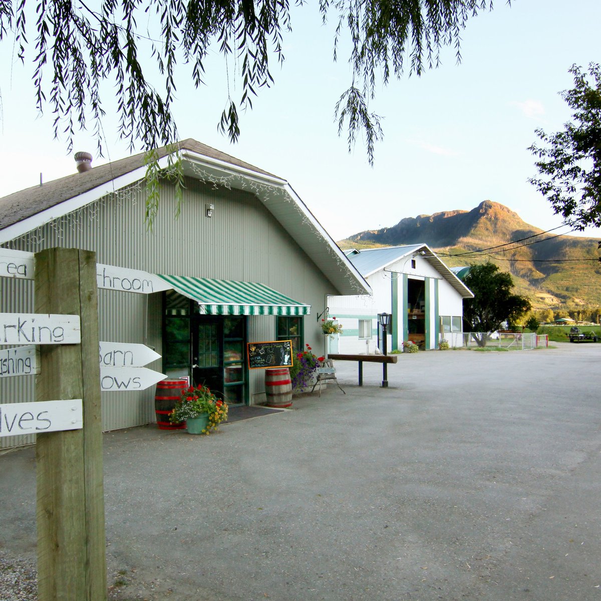 THE 5 BEST Salmon Arm Farms (with Photos) Tripadvisor