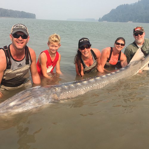 Fraser River Monsters Fishing Adventures