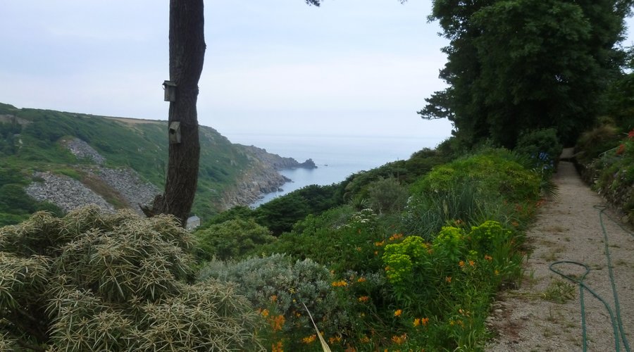 View of the Cove