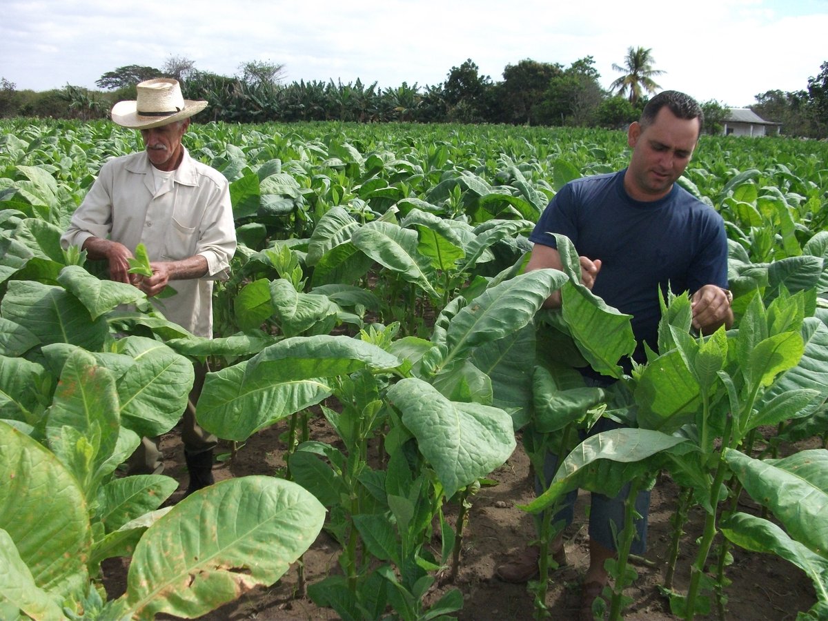 cuba4travel-havana-all-you-need-to-know-before-you-go