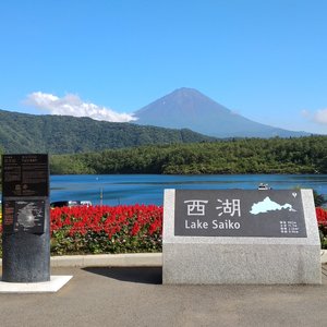 21年 富士河口湖町で絶対外さないおすすめ観光スポットトップ10 定番から穴場まで トリップアドバイザー