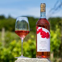 Cabernet Sauvignon Rosé - Bovinel on vineyard 2