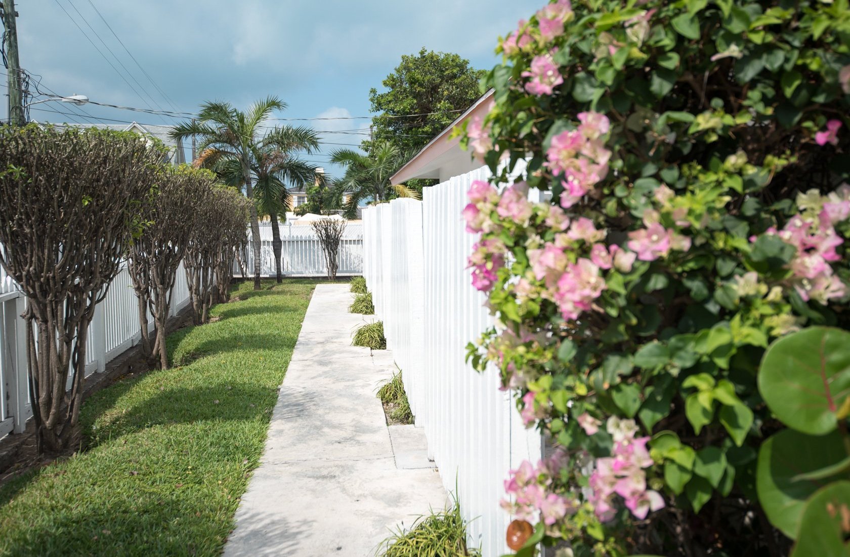 Royal Palm Hotel by null