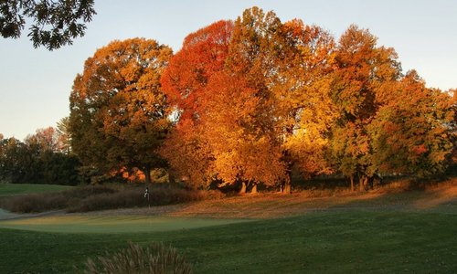 Old Field Habitat with Hardwood Cover on course (photo credit Ed Hass)