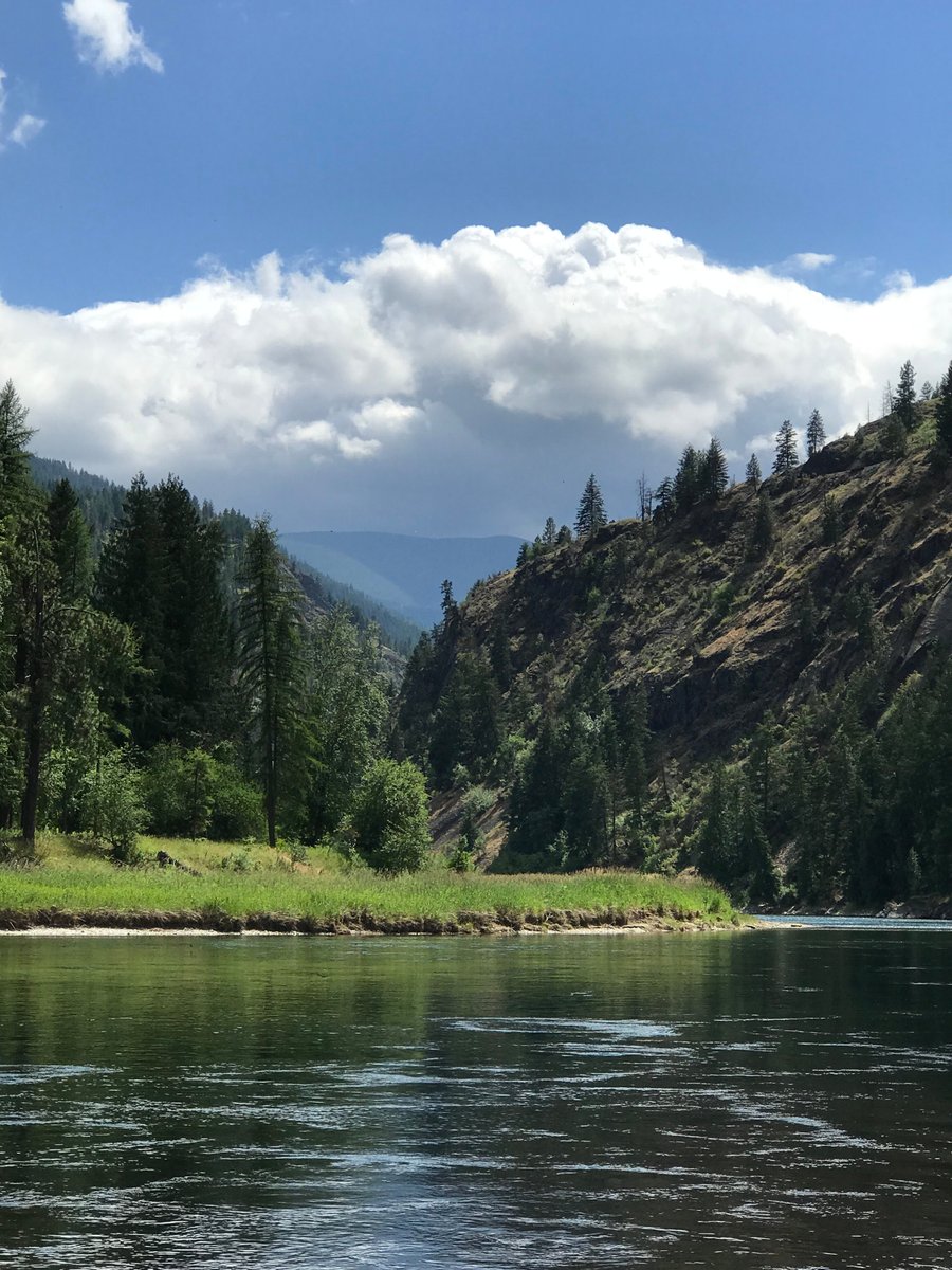 Twin Rivers Canyon Resort Campground Reviews Moyie Springs Idaho Tripadvisor
