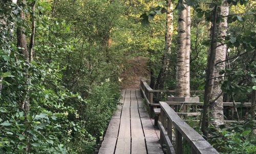 Ekebysjön Naturreservat