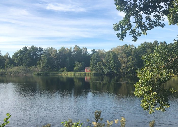 Ekebysjön Naturreservat