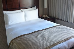 旅行者の写真