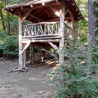 tree house available in the park