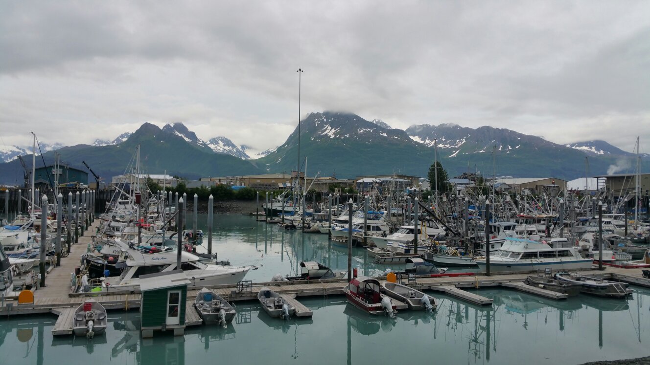 Fish Central (Valdez) - All You Need to Know BEFORE You Go