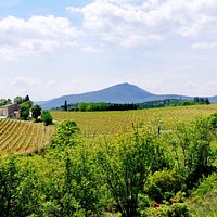 Le Domaine de Sauzet et sa tour au cœur de la vallée de Montoulieu.
