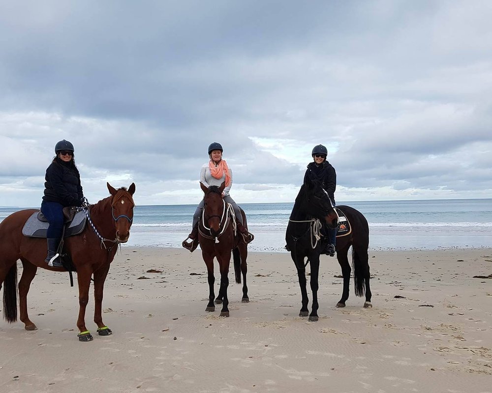 THE 10 BEST South Australia Horseback Riding Tours (with Photos ...