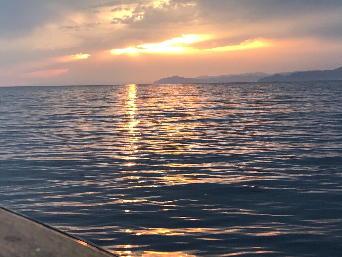 boat tour cinque terre tripadvisor