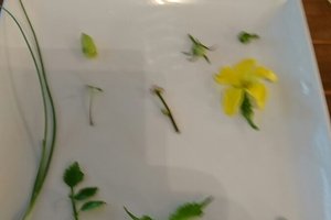 餐飲