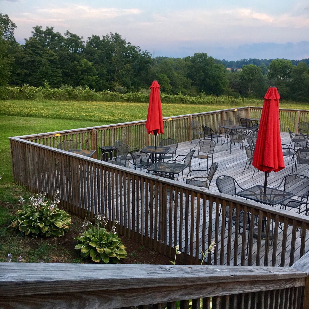 Silver Run Vineyard & Winery (Doylestown) All You Need to Know BEFORE