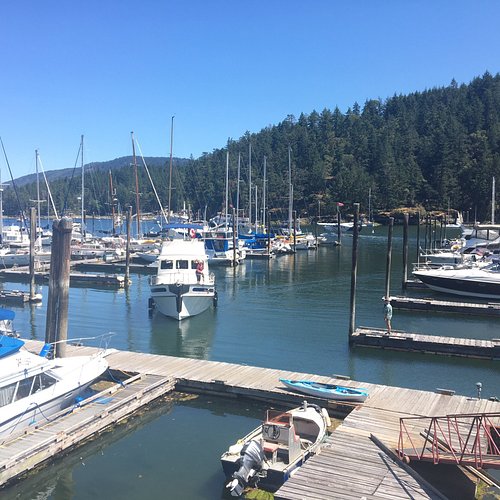 THE 10 BEST Vancouver Island Marinas (Updated 2024) - Tripadvisor