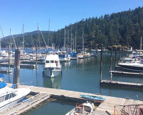 THE 10 BEST Vancouver Island Marinas (2024) - Tripadvisor