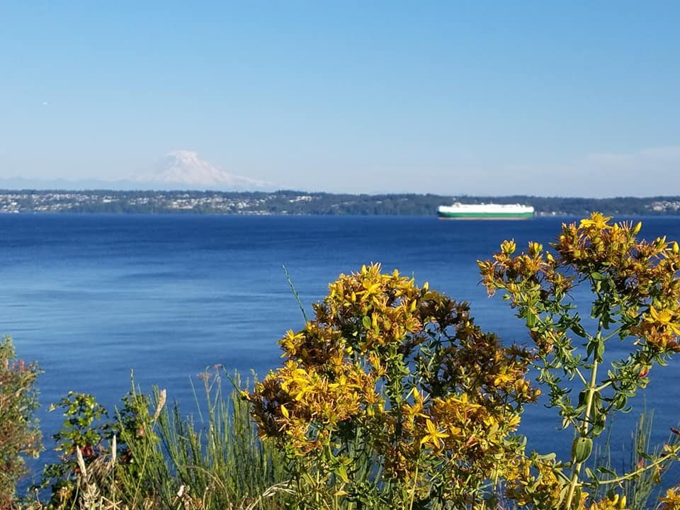 Maury Island Marine Park - Vashon - Maury Island Marine Park의 리뷰 - 트립어드바이저