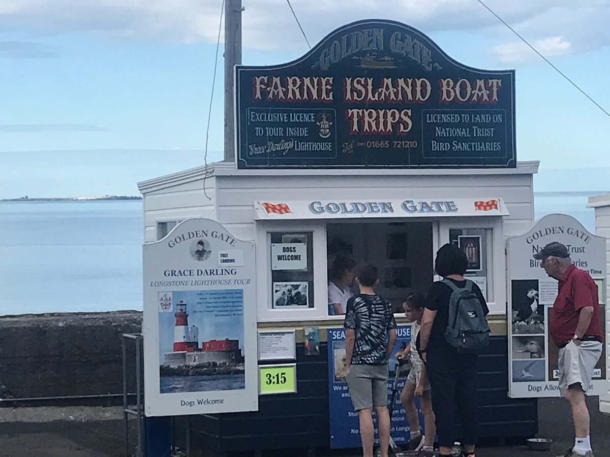 farne islands boat trips national trust