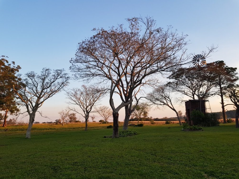 ESTANCIA YAPEYU - Prices & Ranch Reviews (Argentina)