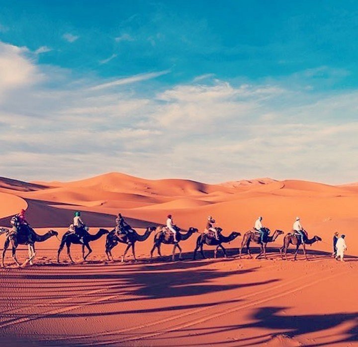 enjoy travel morocco