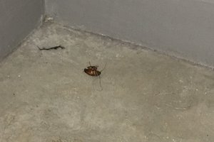 客房和套房