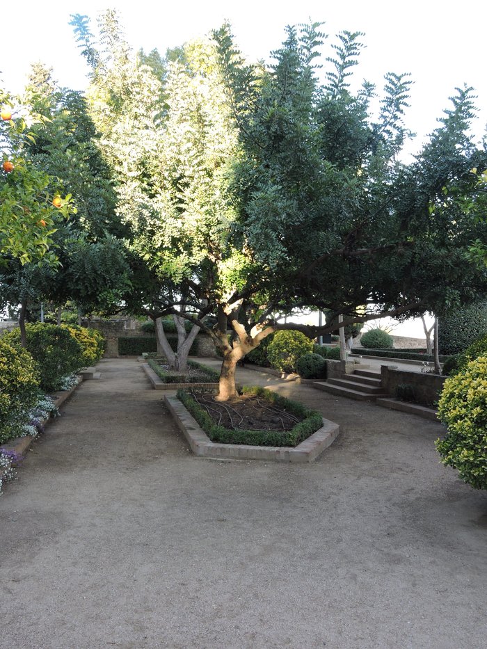 Imagen 5 de Jardín de la Galera
