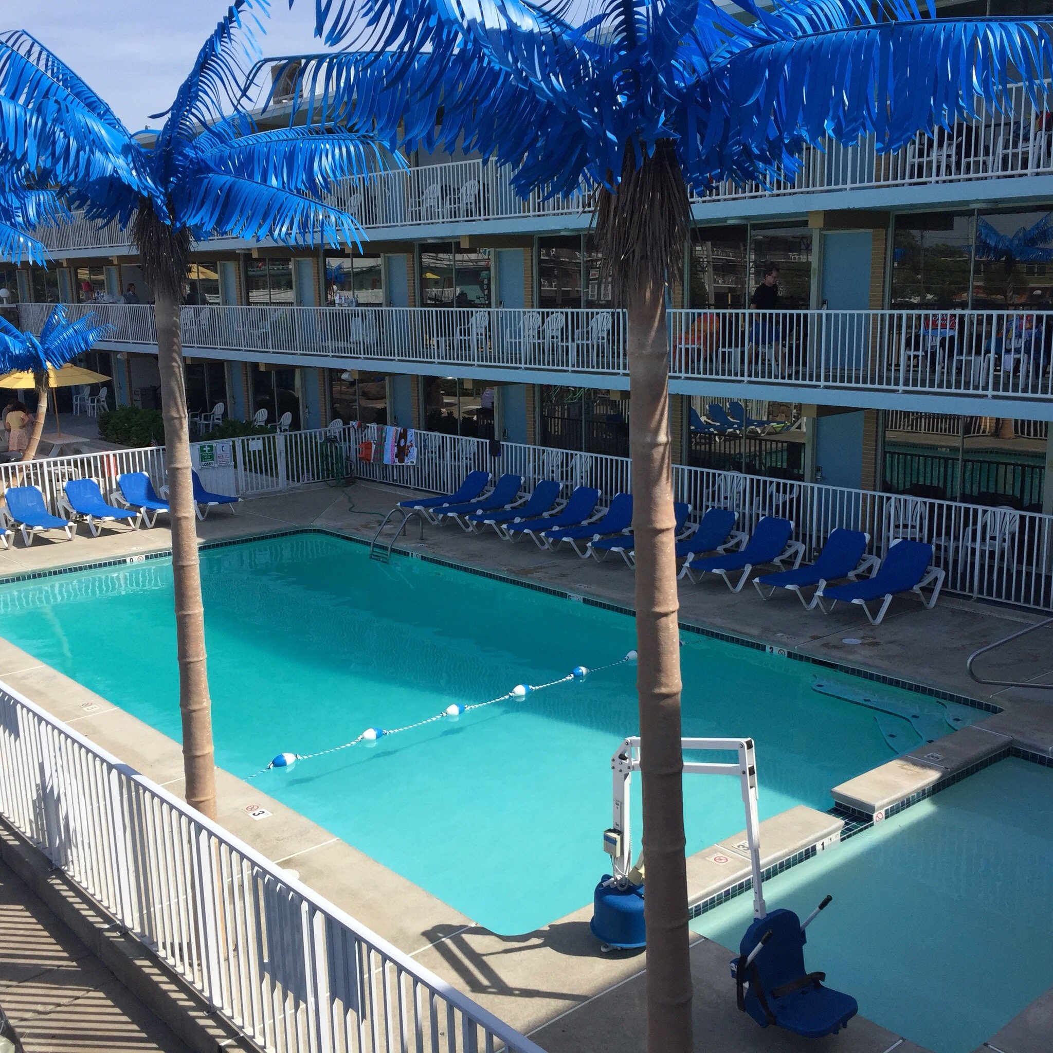 Blue Palms UPDATED Prices Reviews Photos Wildwood NJ