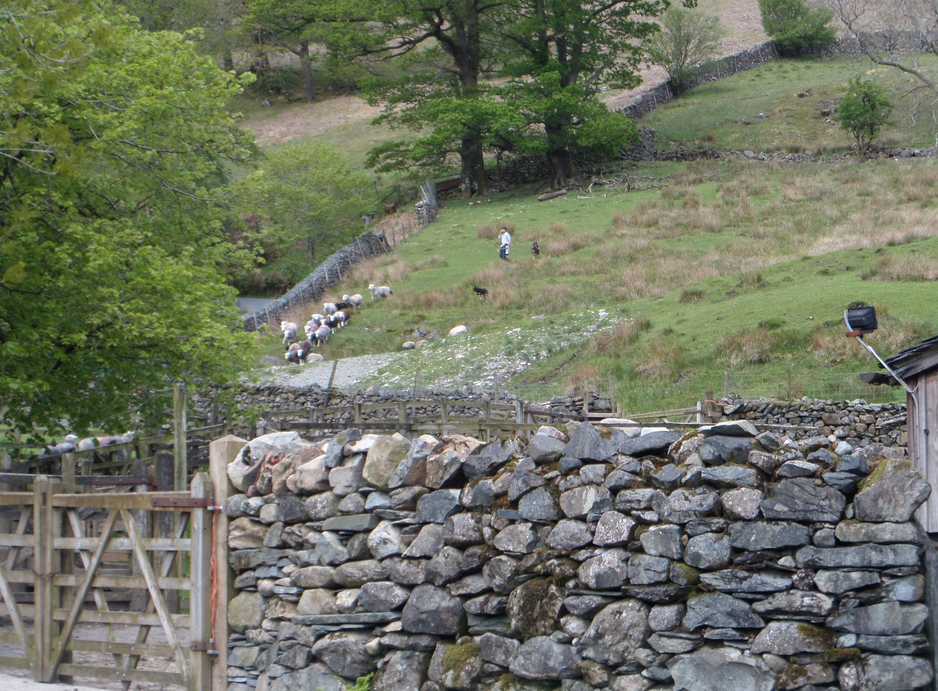 Seatoller Farm by null