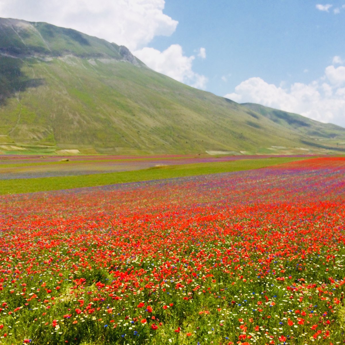 Castelluccio (Umbria, Italien) - anmeldelser - Tripadvisor 