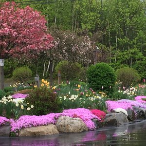 Spring time at The Roost
