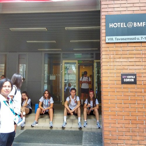 BMF Hostel image