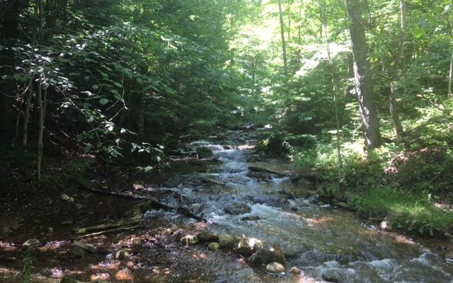 Hiking nearby