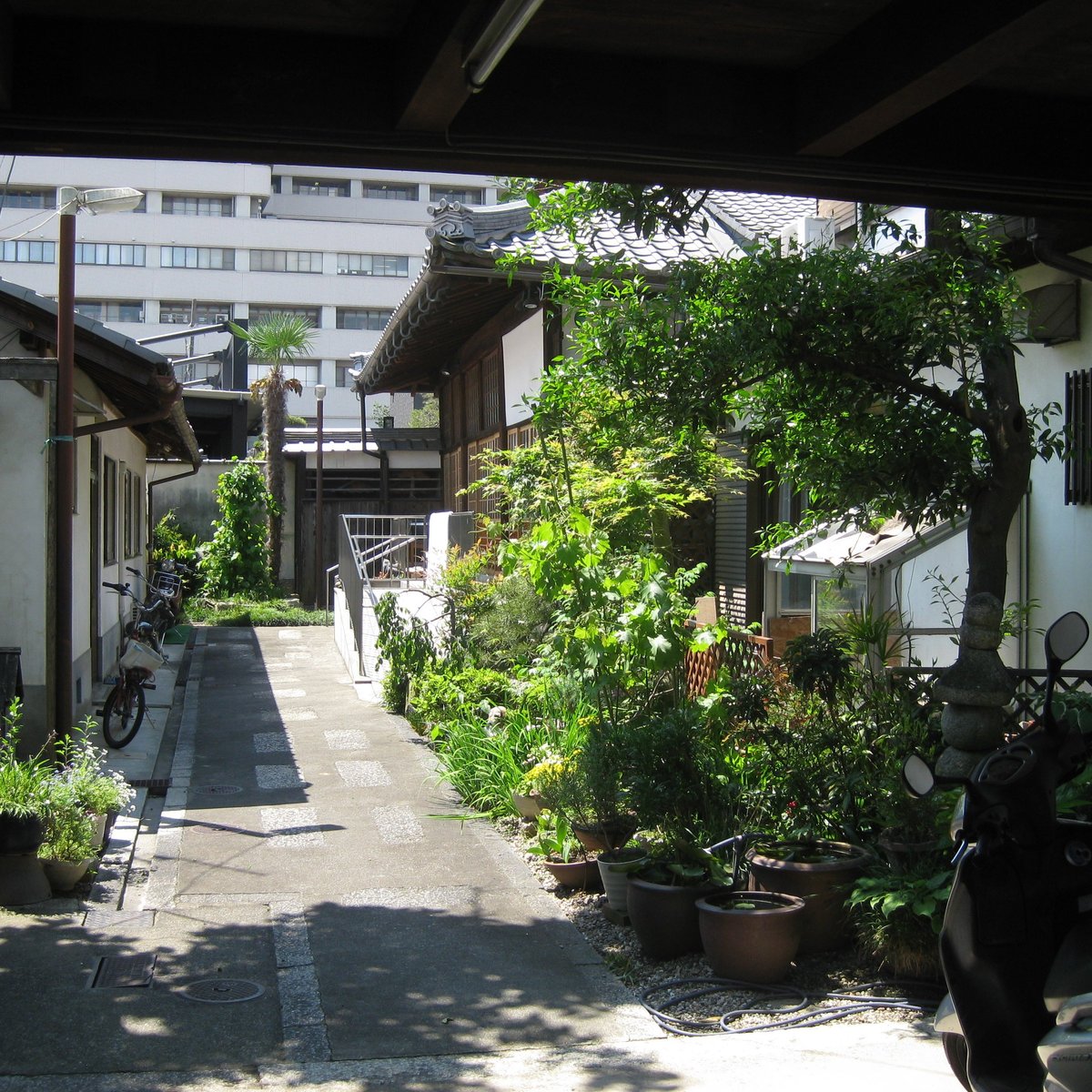 Kosai Ji Temple Otsu Alles Wat U Moet Weten Voordat Je Gaat Met Foto S Tripadvisor