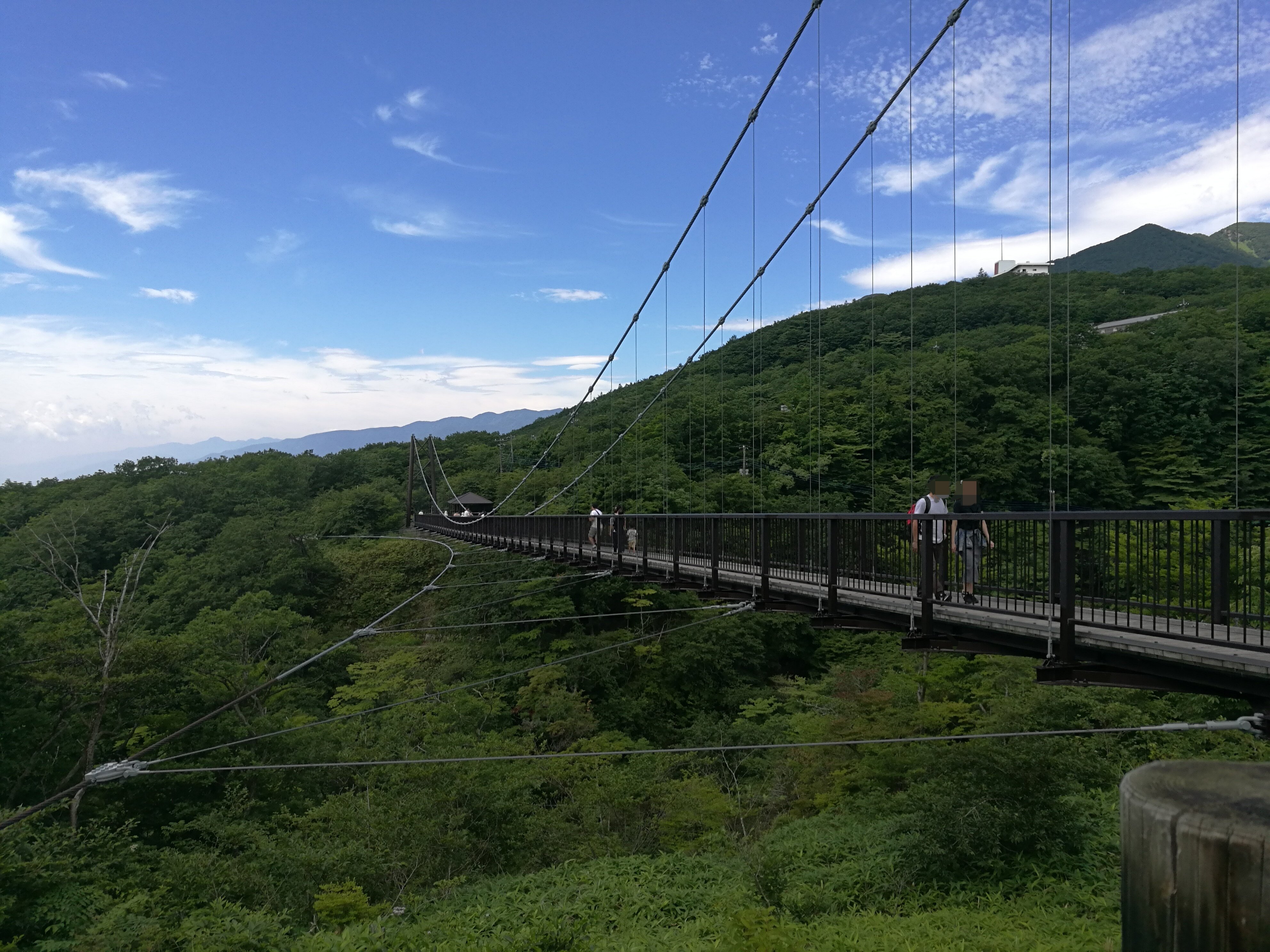 2024年 つつじ吊橋 - 出発前に知っておくべきことすべて - トリップ 