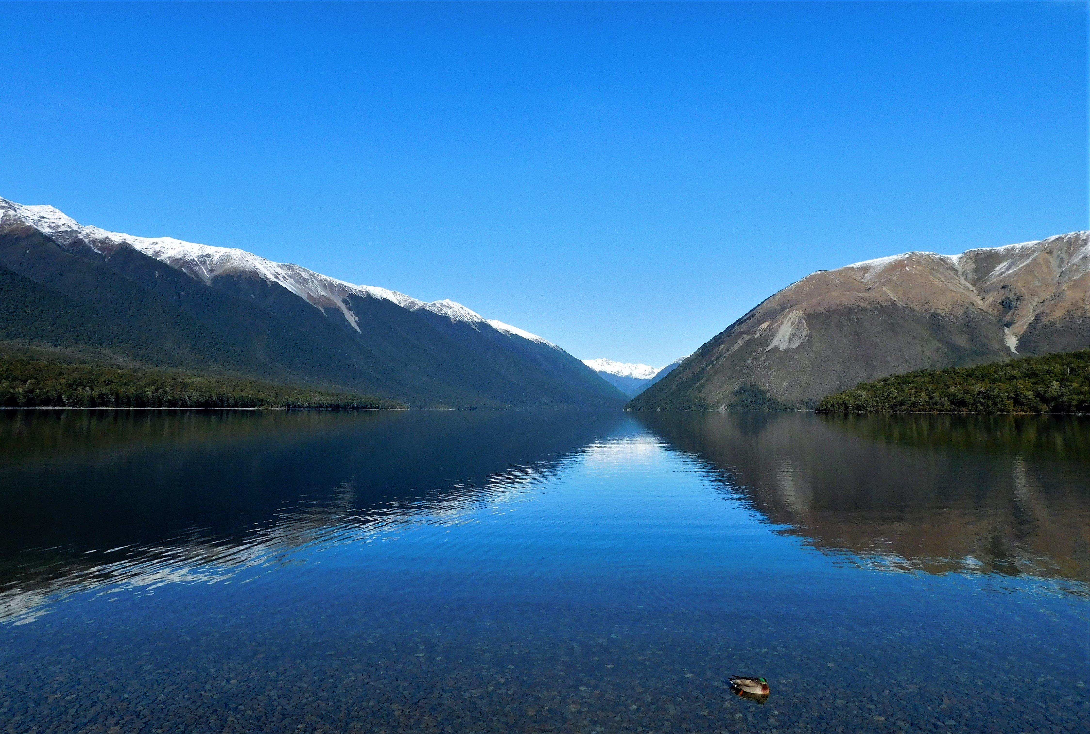 2022 Lake Rotoiti   Lake 