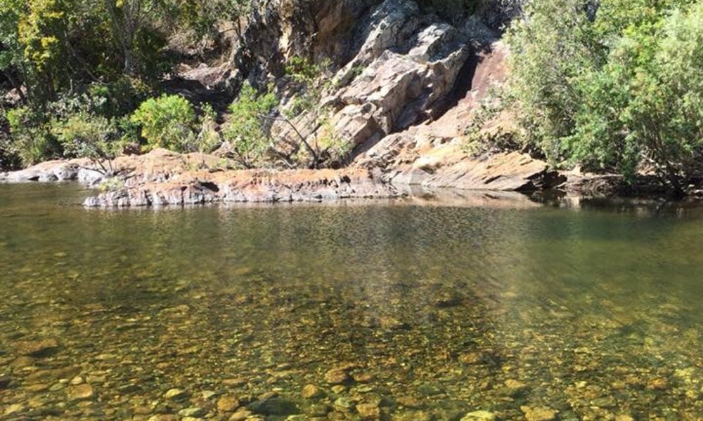 Alligator Creek, Australien: Tourismus in Alligator Creek