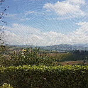 Bed & Breakfast Poggio Carolina