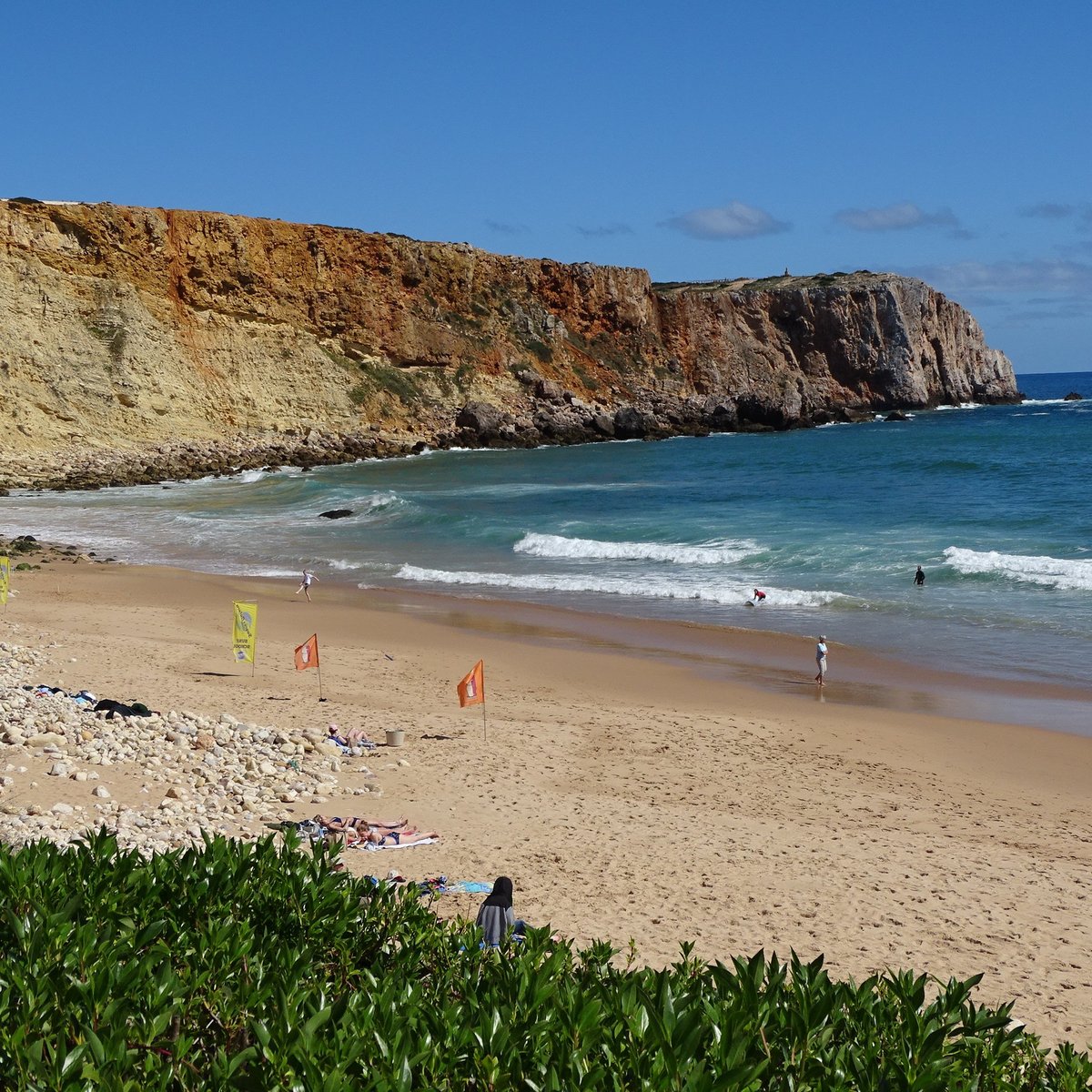 are dogs allowed on beaches in portugal