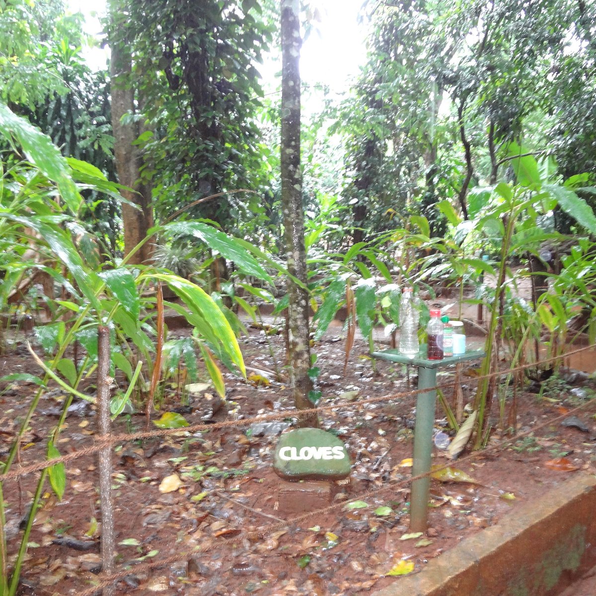 Sirilak Spice & Herbal Garden, Matale: лучшие советы перед посещением -  Tripadvisor