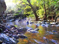 Beautiful Stoney Creek - Picture of Stoney Creek Falls, Cairns - Tripadvisor