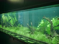 21年 新潟県立植物園 行く前に 見どころをチェック トリップアドバイザー