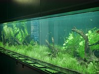 21年 新潟県立植物園 行く前に 見どころをチェック トリップアドバイザー 21年 新潟県立植物園 行く前に 見どころをチェック トリップアドバイザー