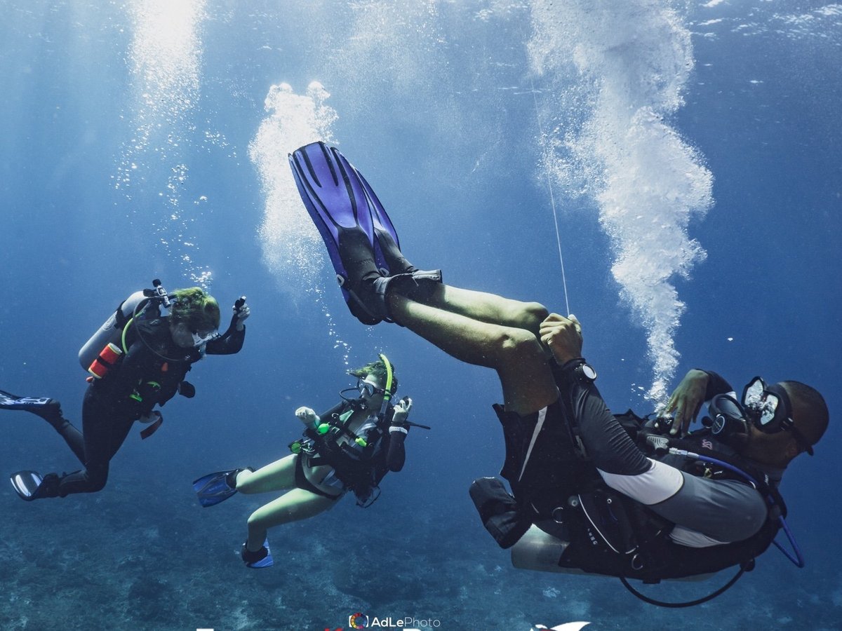 FRENCH KISS DIVERS LEMBONGAN (Nusa Lembongan): Ce qu'il faut savoir