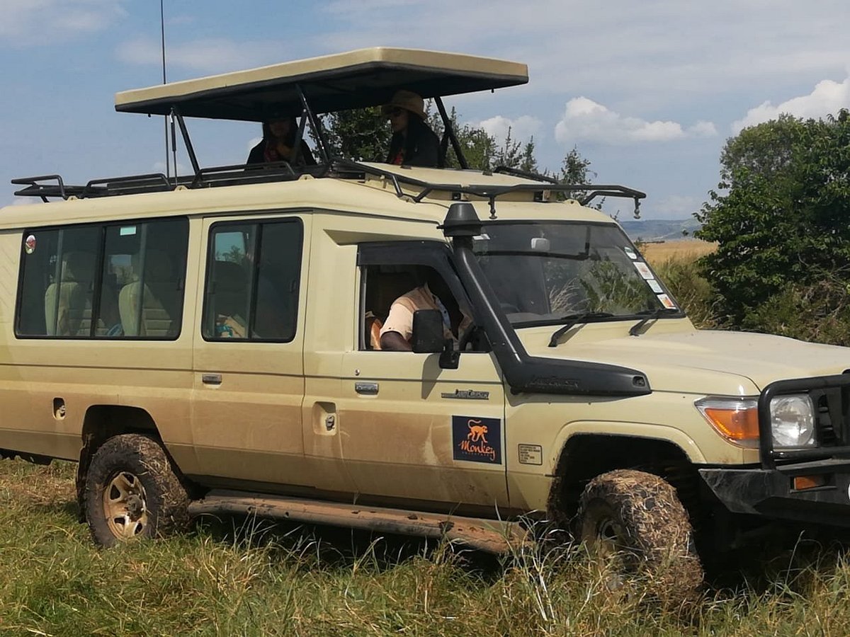 monkey adventures safari reviews